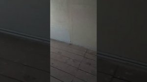 Двухтрубная система отопления частного дома.