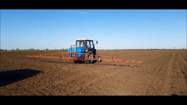 ТЕХНОЛОГИЯ ВЫРАЩИВАНИЯ ТЫКВЫ НА СЕМЕЧКУ #1 смотреть онлайн