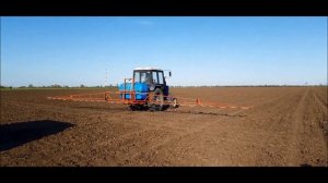ТЕХНОЛОГИЯ ВЫРАЩИВАНИЯ ТЫКВЫ НА СЕМЕЧКУ #1