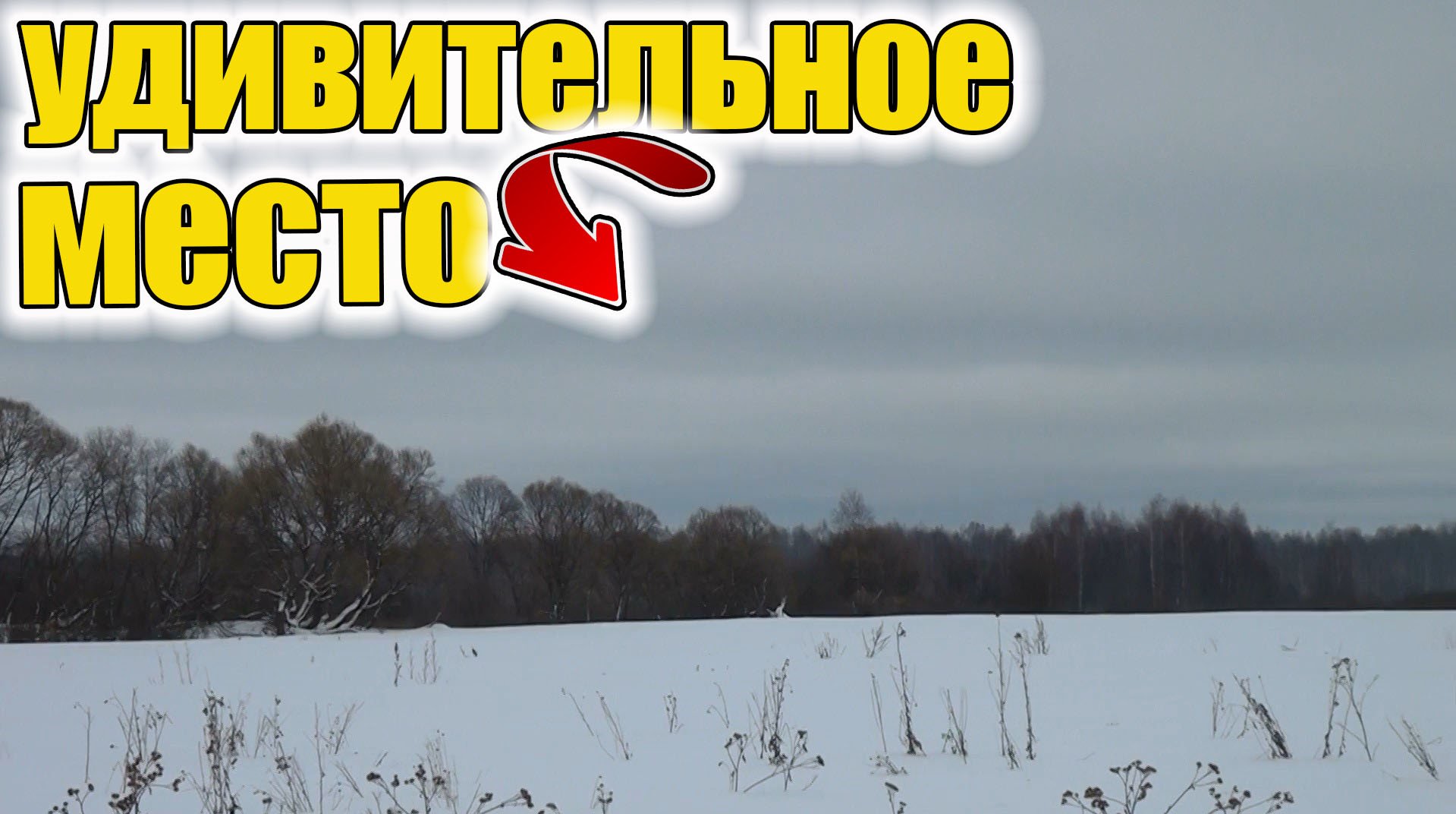 Удивительные находки в заброшенной  деревне .Я такого точно не ожидал.Коп старины с металлоискателем