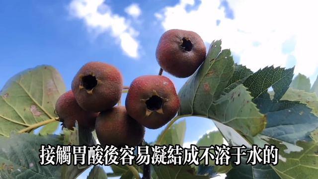 【乐厨怡妈】     年輕夫妻雙雙患癌！只因很愛吃這種水果，醫生勸告：咬1口都會惹瘤上身，可惜很多人還在吃。