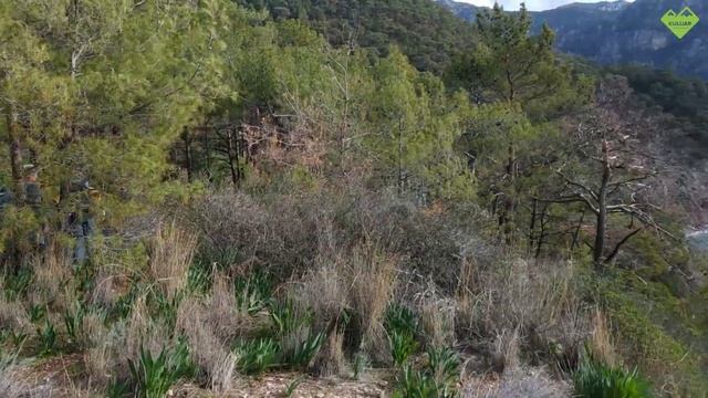 Поход по Ликийской тропе в домиках 25.12-01.01.22 смотреть онлайн