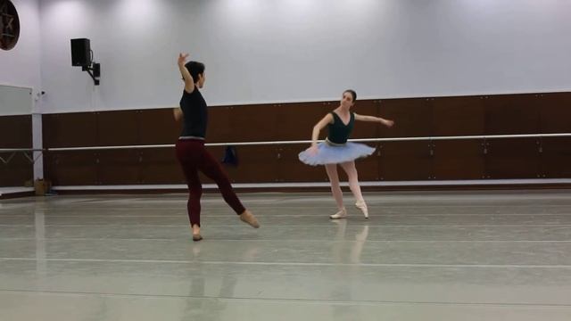 Репетиция артистов балета смотреть онлайн