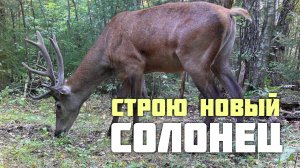 Строю новый солонец