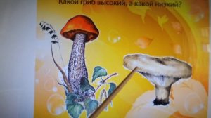 "Высокий-низкий, выше-ниже" в средней группе 19.05.2020