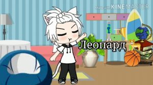 Meme :❤️😎 "Хозяин или животное"🐆❤️ Gacha Life. ~Marina 202