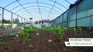 Гостевой дом Кипарис. Цандрипш, Абхазия. Записки Туриста