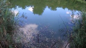 РЫБАЛКА НА КРАСНОЗНАМЕНСКОМ КАНАЛЕ..Vselennaya uvlecheniy