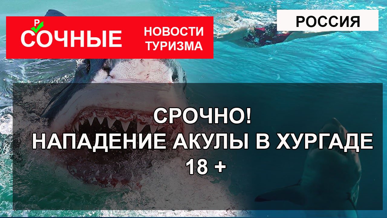 СРОЧНО! ЕГИПЕТ 2023| Нападение акул в Хургаде 8 июня 2023 на россиянина