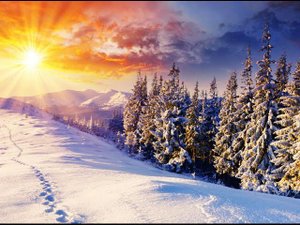 Антонио Вивальди "Времена года. Зима". Antonio Vivaldi - Winter - The Four Seasons