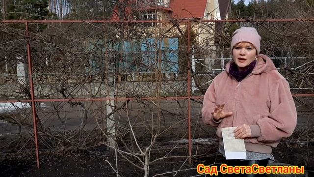 Красивый Сад и Плодовый Сад.Мои ошибки.Практические Советы для начинающих садоводов.Посадка деревье