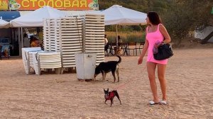 Вечерняя Голубицкая на центральном пляже в бархатный сезон. 3 сентября!