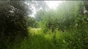 Моя родная глухомань. Скоро будет не проехать, не пройти. Лето'23