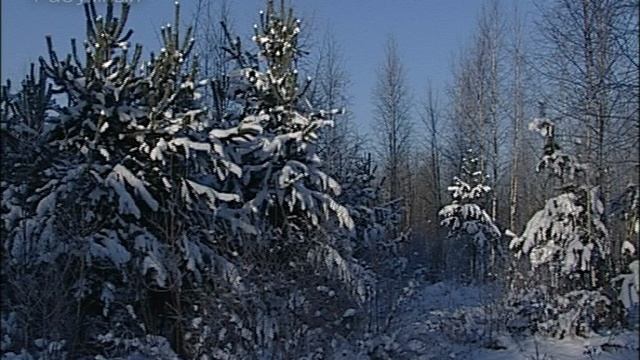 Белый снег пушистый. И.З. Суриков смотреть онлайн