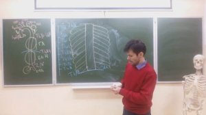 Артерии большого круга кровообращения.mp4