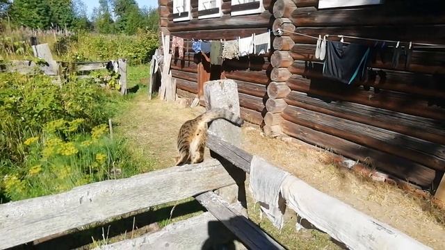 Деревенские будни смотреть онлайн