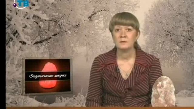 Экология. Передача 12. Хитроумные паразиты смотреть онлайн