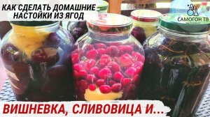 ВИШНЕВКА, СЛИВОВИЦА и ВИНОГРАДНАЯ   ДОМАШНИЕ НАСТОЙКИ НА САМОГОНЕ НА ФРУКТАХ #вишневка #сливовица