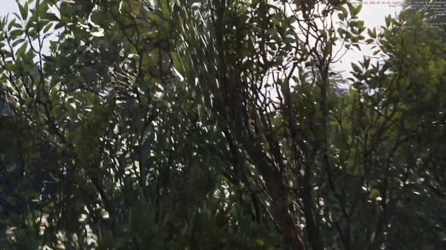 Обзор игры "В поисках сокровищ Российской империи" смотреть онлайн