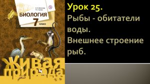 Урок 25. Рыбы - обитатели воды. Внешнее строение рыб