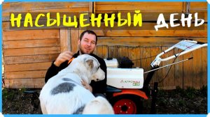 Посеяли газон перед домом. Обкатка мотоблока. Появились незапланированные дела