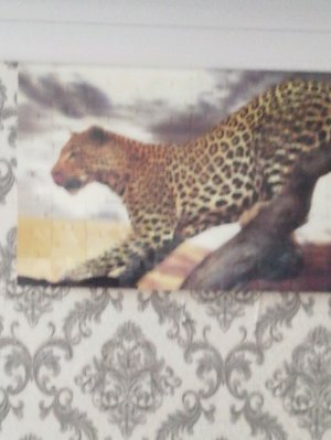 Иран теперь норма.