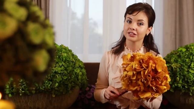 Видео презентация цветов. Vermont «Долговечная гортензия» смотреть онлайн