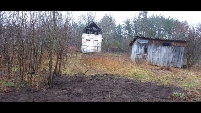 Уборка участка после покупки.Вырубка кустов и корчевание мелких деревьев.