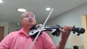 Secret Garden on Electric Violin 2022