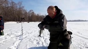 Приемы ловли судака зимой - Рыбалка. Снасти и способы