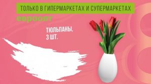 Так красочно! Так по-весеннему! Покупайте цветы к 8 марта по привлекательным ценам!