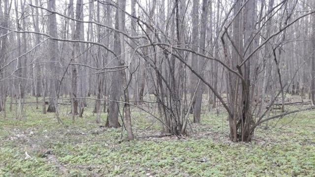 Что делать, когда возникает проблема