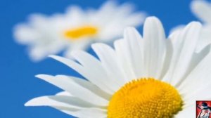 С ДНЁМ РОЖДЕНИЯ, НАТАША! Поздравительный ролик.