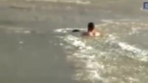 Спасение собаки из ледяной воды