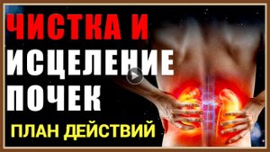 ПЛАН ЧИСТКИ ПОЧЕК.mp4