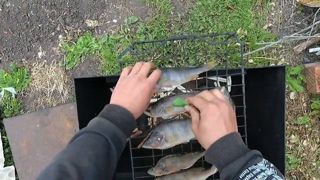 Копчу пару окуней.Горячее копчение. смотреть онлайн
