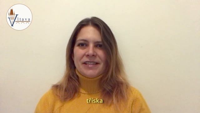 УРОК 23. Ř, произносим правильно Ř, часть 2 Говорим по-чешски с Вероникой. КУРСЫ ЧЕШСКОГО ЯЗЫКА