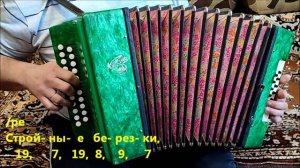 Травы, травы... Разбор на гармони.