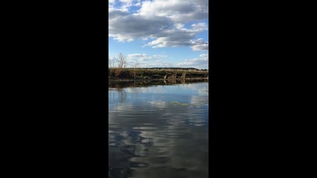 Рыбалка на кружки! новая снасть для меня...)) смотреть онлайн