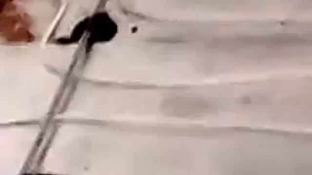 Установка "Маяков" для заливки тёплого пола смотреть онлайн