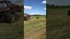 Заготовка сенажа из люцерны в рулоны