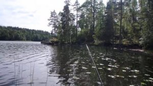 Озеро Лесогорское или Ворошиловское по местному. сентябрь 2017