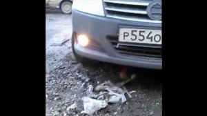 Реле противотуманок