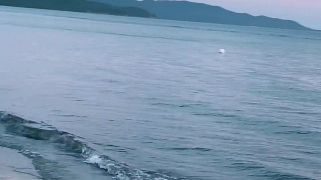 🔥Родная я нашел тебя👩❤️💋👨#любовь #вселенная #благодарность смотреть онлайн