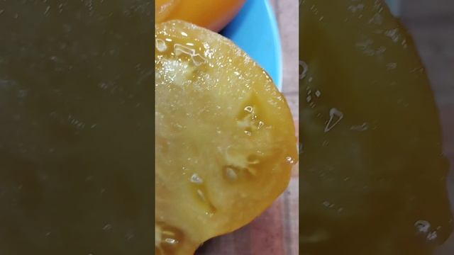 Томат для открытого грунта Желтые гребешки в разрезе. г. Киров. Ватсап тел. 89229284031 смотреть онлайн