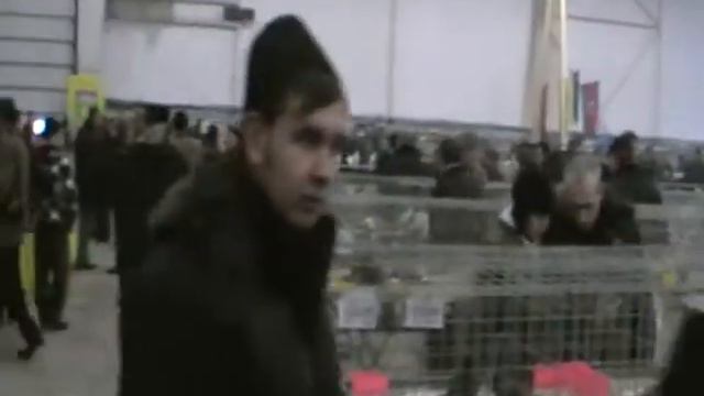 Московская выставка голубей 2011 (3) смотреть онлайн