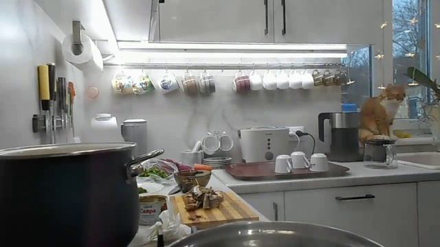 Кот Персик варит суп! смотреть онлайн