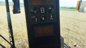 Окончание уборки зерновых культур в 2021 комбайн кейс 2388