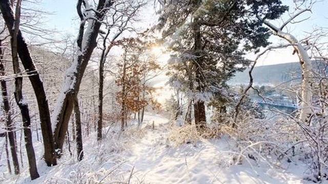 Minuet - String Quintet - Luigi Boccherini смотреть онлайн
