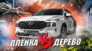 Комплексный детейлинг Hyundai Santa Fe в Ростове. Пленка защитила от дерева